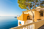 Blick auf die Bucht von Cala Fornells, Mallorca, Balearen, Spanien