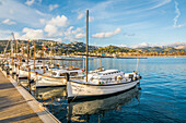  Traditional boats (llaüts) in the harbor of Port d&#39;Andratx, Mallorca, Balearic Islands, Spain 