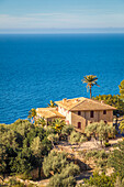 Die Siedlung Lluc Alcari in der Nähe von Deia an der Westküste, Mallorca, Balearen, Spanien