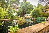Teich im Garten des Landguts Raixa, Bunyola, Mallorca, Balearen, Spanien
