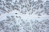  Cars on a lonely road in a snowy forest, Lapland, Finland 