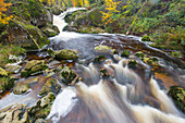  Ilse Falls, Ilse, Harz National Park, Saxony-Anhalt, Germany 