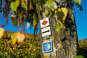  Hiking trail sign in a vineyard in autumn, Ebringen, near Freiburg im Breisgau, Markgräflerland, Black Forest, Baden-Württemberg, Germany 