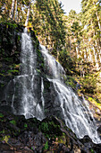  Zweribach Waterfall, Bannwald, near St. Märgen, Black Forest, Baden-Württemberg, Germany 