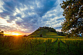  Hilly landscape and castle with vineyards in autumn, sunset, Staufen, Markgräflerland, Black Forest, Baden-Württemberg, Germany 