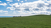 Grüne Wiese und Dunnotar Castle, Stonehaven, Aberdeenshire, Schottland, Großbritannien