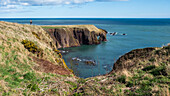 Paar blickt über die Nordsee und die Klippen, Aberdeenshire Highlands, Schottland, Großbritannien