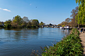 Uferpromenade an der Themse in Richmond, Greater London, Großraum London, England, Großbritannien