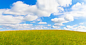  Meadow under a blue-white cloudy sky, Gau-Grehweiler, Rhineland-Palatinate, Germany 