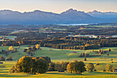  View from the Auerberg over the autumnal Alpine foothills to the Allgäu Alps, Bavaria, Germany, Europe 