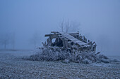  Field barn in Kochelmoos, Schlehdorf, Upper Bavaria, Bavaria, Germany 