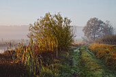  At sunrise in the Oberland, Bavaria, Germany 