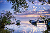  Morning mood near Dießen am Ammersee, Bavaria, Germany, Europe 