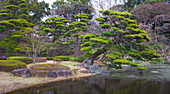 Japan, Tokyo, Imperial Palace, East Gardens,