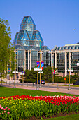 Kanada, Ontario, Ottawa, National Gallery, Tulpen, 
