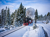  The Brocken Railway on the Goetheweg, Brocken, Harz, National Park, Schierke, Wernigerode, Harz District, Saxony-Anhalt, Eastern Germany, Central Germany, Germany, Europe 