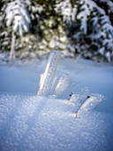  Icy blades of grass near the Brocken, Brocken, Harz, National Park, Schierke, Wernigerode, winter, frost, ice, Harz district, Saxony-Anhalt, Eastern Germany, Central Germany, Northern Germany, Germany, Europe 