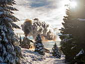  The Brocken Railway on the way to Brocken Station, Brocken, Harz, National Park, Schierke, Wernigerode, Harz District, Saxony-Anhalt, Eastern Germany, Central Germany, Germany, Europe 