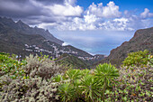  View towards Taganana, Montana de Anaga, north coast of Tenerife, Spain 