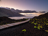 Weg zum Meer, Leuchtturm Faro de Punta Teno bei Sonnenuntergang, Kap Punta de Teno, Buenavista del Norte, Nordwestküste, Teneriffa, Spanien