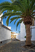  The streets of Garachico, province of Santa Cruz de Tenerife, Spain 