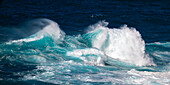 Wellen an der Küste vor Icod de Los Vinos, bei Puerto de la Cruz, Nordküste, Teneriffa, Spanien