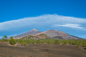 Blick über die Lavafelder in Richtung Teide, Caldera im Teide Nationalpark Parque Nacional del Teide, Teneriffa, Spanien
