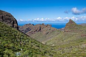 Blick über die Berghänge der Schlucht 'Barranco de Masca', Naturpark Teno-Gebirge, bei Santiago del Teide, Nordwestküste, Teneriffa, Spanien