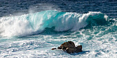Große Brandungswellen vor dem Playa Punta del Fraile westlich von Buena Vista del Norte, Nordwestküste, Santa Cruz de Tenerife, Teneriffa, Spanien