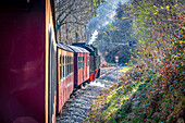 Ein Zug mit einer Dampflokomotive der Harzer Schmalspurbahn, bei Wernigerode, Harz, Sachsen-Anhalt, Deutschland