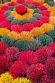Vietnam, Hue, incense sticks,