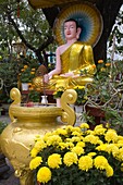 Vietnam, Da Nang, Tam Bao, pagoda, buddhist temple