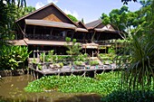 Malaysia, Sabah, Sepilok, Nature Resort