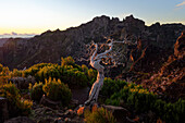  At Pico Ruivo do Santana, Madeira, Portugal 