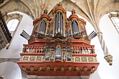 Portugal, Coimbra, Igreja de Santa Cruz, organ, 