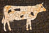 Portugal, Azores, Terceira Island,  Angra do Heroismo, pavement mosaic, cow, cattle, 
