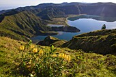 Portugal, Azores, Sao Miguel Island, Lagoa do Fogo, lake, scenery, 