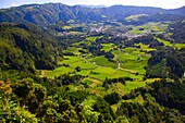 Portugal, Azores, Sao Miguel Island, Vale das Furnas, valley, 