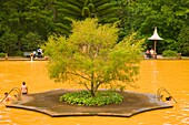 Portugal, Azores, Sao Miguel Island, Furnas, Terra Nostra Park, bathing pool, 