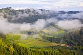 Portugal, Azores, Sao Miguel Island, Sete Cidades, landscape, scenery, 