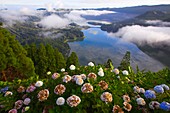 Portugal, Azores, Sao Miguel Island, Sete Cidades, Lagoa Verde, Lagoa Azul, 