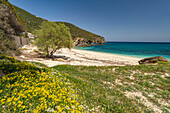 Der einsame Strand von Kalamos, Insel Euböa oder Evia, Mittelgriechenland, Griechenland