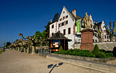  Rhine promenade with plane trees, statue of Germania, Eltville, Rheingau, Hesse, Germany 
