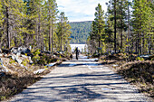  Cyclist and dog near Elga, Femundsmarka National Park, Fylke Innlandet, Norway, Scandinavia 