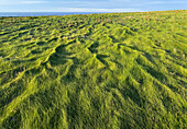 Coastal formations, Ross, County Clare, Atlantic Ocean at sunset, Ireland\n