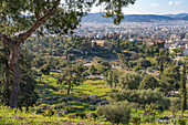  Agora and the Temple of Hephaestus in the Greek capital Athens, Greece  