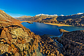 Blick auf herbstlichen Silser See und Berninagruppe, Silser See, Engadin, Graubünden, Schweiz