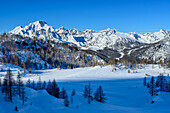 Blick auf Monte Disgrazia und Berninaalpen, Alpe Prabello, Berninagruppe, Lombardei, Italien