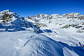 Blick auf Berninagruppe mit Piz Argient, Piz Zupo und Piz Palü, vom Passo di Campagneda, Berninagruppe, Lombardei, Italien