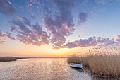 Ruderboot im Schilf bei Sonnenuntergang, bei Warthe, Lieper Winkel, Insel Usedom, Ostsee, Mecklenburg-Vorpommern, Deutschland